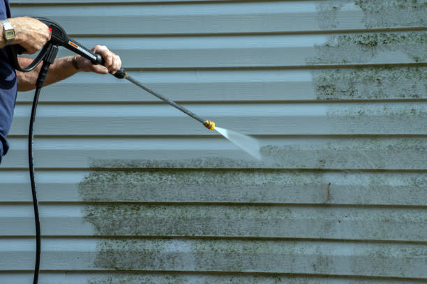 Spring Cleaning in Shrub Oak, NY